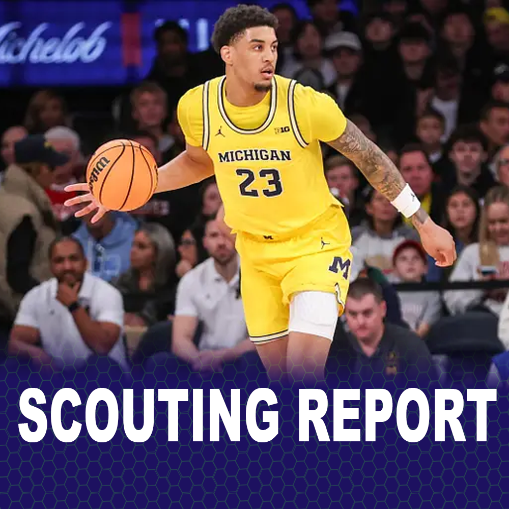 Charlotte Hornets prospect scouting report: Yaxel Lendeborg - At The Hive