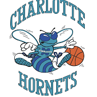  Outerstuff PJ Washington Charlotte Hornets #25 Mint